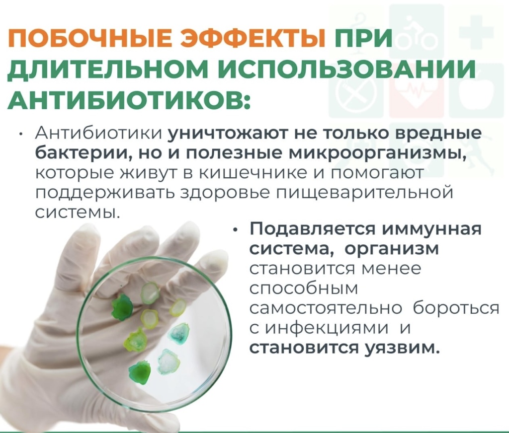 image-18-11-25-11-08-3.jpeg image-18-11-25-11-08-3.jpeg